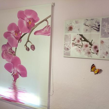 La Casita De Ana. Puerta Valencia. Casco Antiguo Villa Cuenca  Eksteriør billede